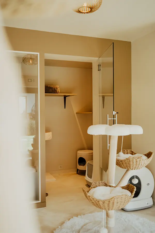 suites - image 6a kattenhotel