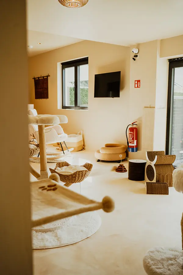 suites - image 8 kattenhotel